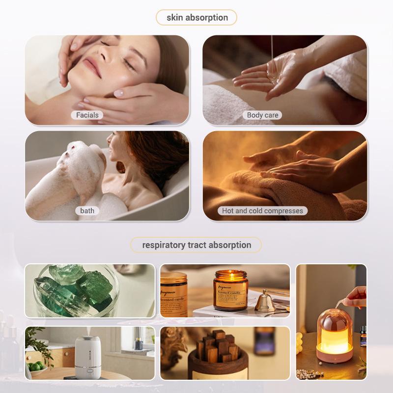 10ml 향유 선물 세트 과일 아로마 오일 가습기 디퓨 - Soap Making Book 리뷰 및 가격